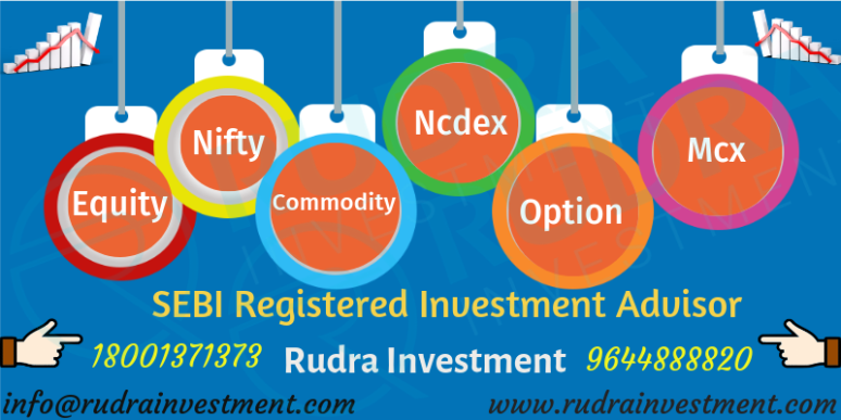 Rudra Investment